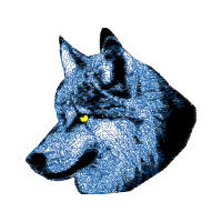 Miniature Schnauzer Animals