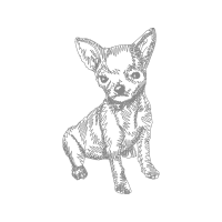 Minskin Animals Minskin Animals