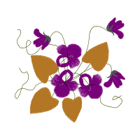 Moth Orchids Animals Moth Orchids Animals