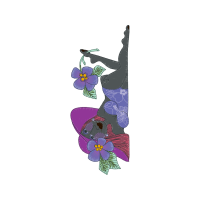 Moth Orchids Animals