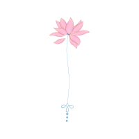 Moth Orchids Animals