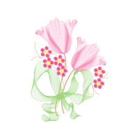 Moth Orchids Animals