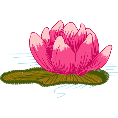 Mtn Group Animals Mtn Group Animals