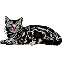 Munchkin Cat Animals Munchkin Cat Animals