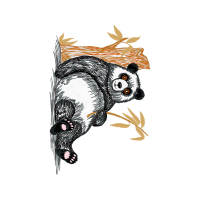 New World Porcupines Animals New World Porcupines Animals