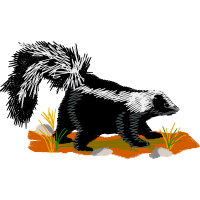 New World Porcupines Animals New World Porcupines Animals