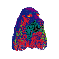 Newfoundland Dog Animals Newfoundland Dog Animals