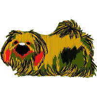 Norfolk Terrier Animals Norfolk Terrier Animals