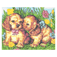 Norwich Terrier Animals