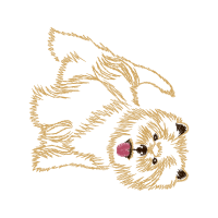 Norwich Terrier Animals Norwich Terrier Animals