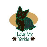 Norwich Terrier Animals Norwich Terrier Animals