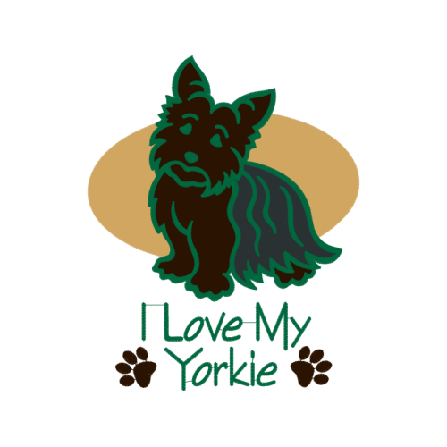 Norwich Terrier Animals Norwich Terrier Animals