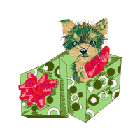 Norwich Terrier Animals Norwich Terrier Animals