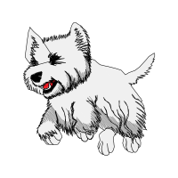 Norwich Terrier Animals Norwich Terrier Animals