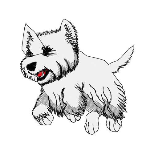 Norwich Terrier Animals Norwich Terrier Animals