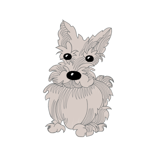 Norwich Terrier Animals Norwich Terrier Animals