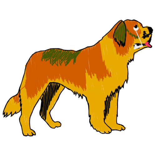 Nova Scotia Duck Tolling Retriever Animals Nova Scotia Duck Tolling Retriever Animals