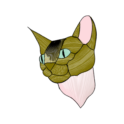 Ojos Azules Animals Ojos Azules Animals