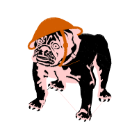 Olde English Bulldogge Animals Olde English Bulldogge Animals