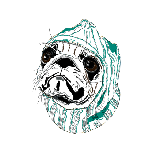 Olde English Bulldogge Animals Olde English Bulldogge Animals