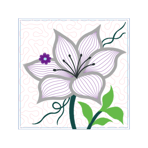 Orchids Animals Orchids Animals