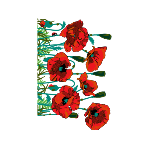 Oriental Poppy Animals Oriental Poppy Animals