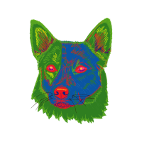 Oriental Shorthair Animals