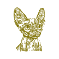 Oriental Shorthair Animals