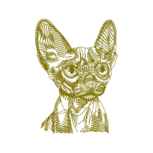 Oriental Shorthair Animals Oriental Shorthair Animals