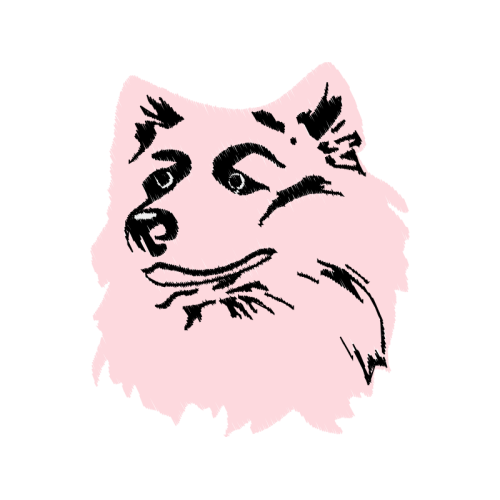 Owl Animals Owl Animals