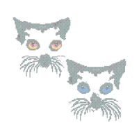 Owl Animals Owl Animals