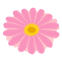 Oxeye Daisy Animals Oxeye Daisy Animals