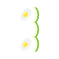 Oxeye Daisy Animals Oxeye Daisy Animals