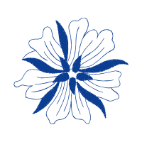 Passion Flowers Animals Passion Flowers Animals