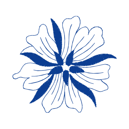 Passion Flowers Animals Passion Flowers Animals