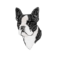 Peacock Butterfly Animals