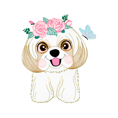 Pekapoo Animals Pekapoo Animals