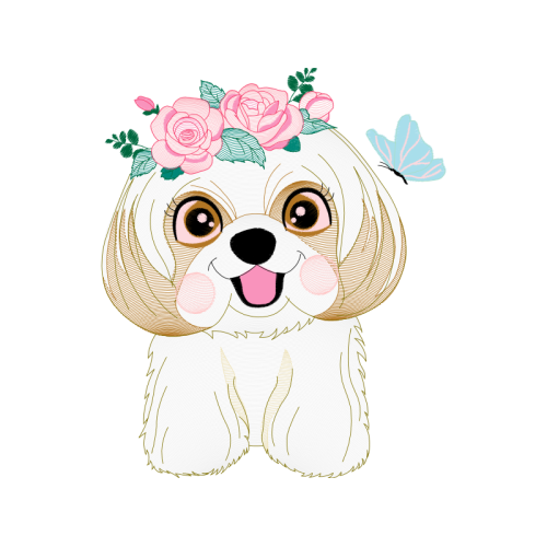 Pekapoo Animals Pekapoo Animals