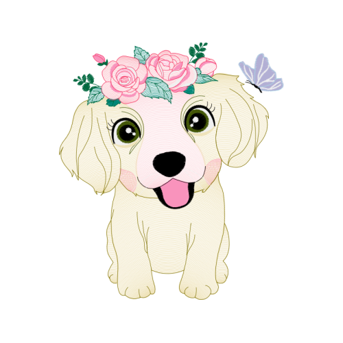 Pekapoo Animals Pekapoo Animals