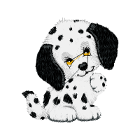 Pekapoo Animals Pekapoo Animals