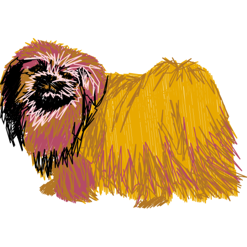 Pekingese Animals Pekingese Animals