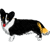 Pembroke Welsh Corgi Animals