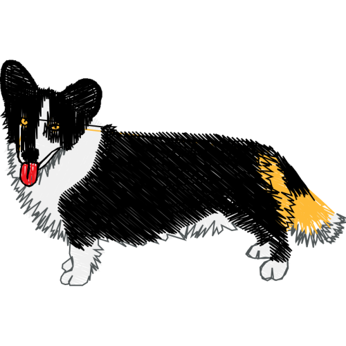 Pembroke Welsh Corgi Animals