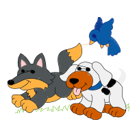 Pembroke Welsh Corgi Animals