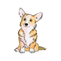 Pembroke Welsh Corgi Animals