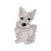 Pembroke Welsh Corgi Animals