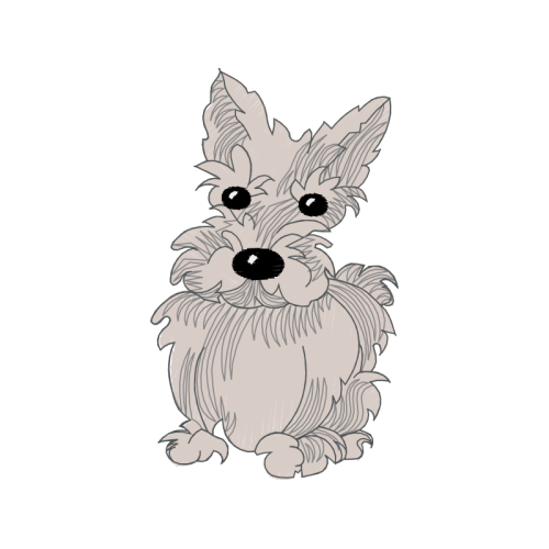 Pembroke Welsh Corgi Animals Pembroke Welsh Corgi Animals