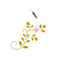 Petal Animals Petal Animals