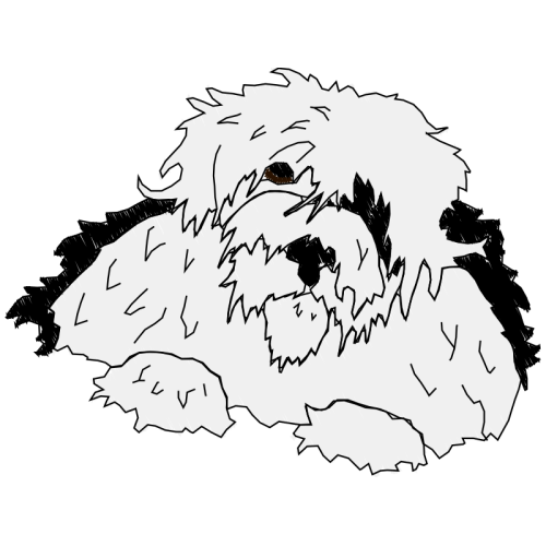 Petit Basset Griffon Vend En Animals Petit Basset Griffon Vend En Animals