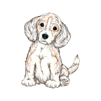 Petit Basset Griffon Vend En Animals